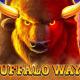 Buffalo Ways